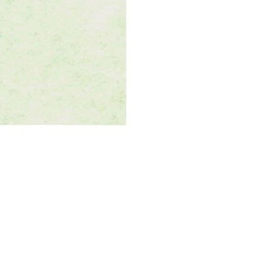 Mohawk Skytone Vellum Parchment Envelopes Spring Green Shade #10 Commercial Flap 4-1/8 x 9-1/2 Inches, 24W (89 Gsm), 500 Envelop