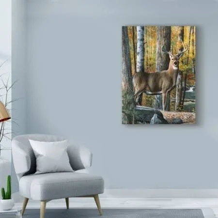 Trademark Fine Art Wag03256-C2432Gg Kevin Daniel 'Broken Silence' Canv