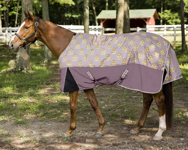 TuffRider Bonum 1200D Medium Weight Standard Neck Giraffe Print Turnout Pony Blanket, Men's, Size: 45