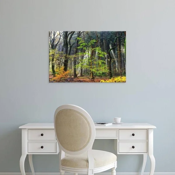 Easy Art Prints Lars Van De Goor's 'Colors of The Forest IV' Premium Canvas Art - 12 x 18 - Brazilian Barnwood Frame