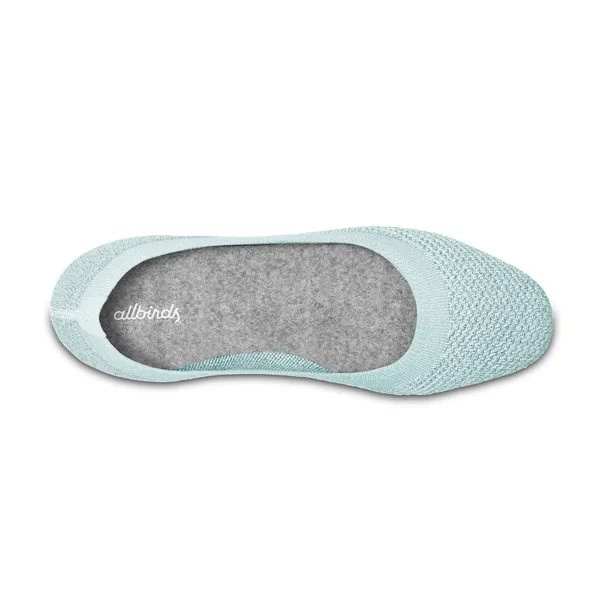 Allbirds Women's Tree Flats, Frost, Size 8.5