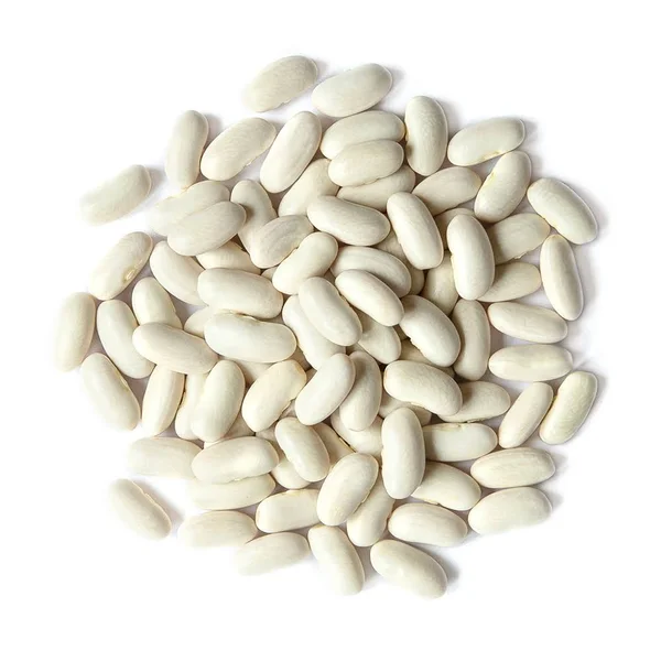 Organic Cannellini Beans by Food to Live (Raw - Dried, Non-GMO, White Kidney Beans in Bulk, Product of The USA) 15 Pounds