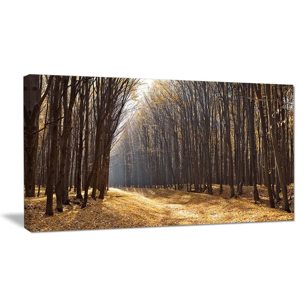 Design Art 'Light in The Forest Path Panorama' 5 Piece Photographic Print on Wrapped Canvas Set, Brown
