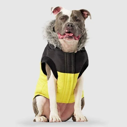 True North Parka - Yellow - Canada Pooch 229782