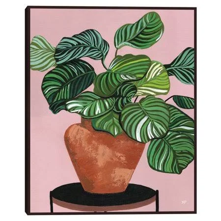 Calatheas by Bria Nicole Framed Canvas Art Print - Size: 16 x 20