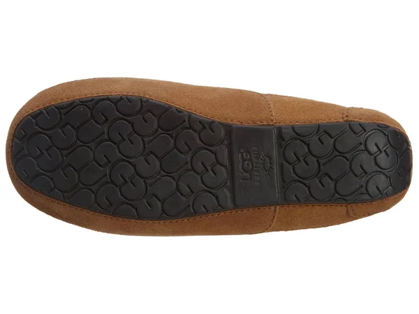 Ugg Ascot Kids Chestnut Size 4