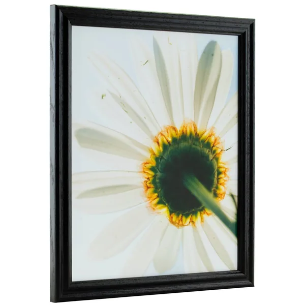 Craig Frames Wiltshire 200, Traditional Black Hardwood Picture Frame, 9 x 26 inch