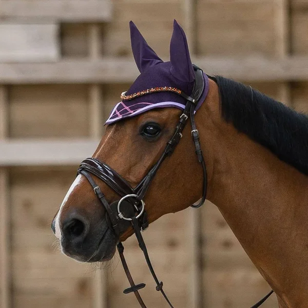 Horze Clermont Bridle Warmblood - Black