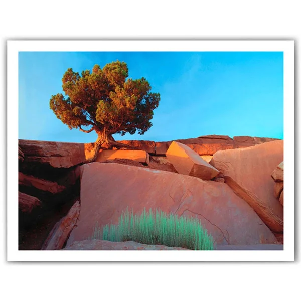 Dean Uhlinger 'Dead Horse Point' Unwrapped Canvas - Multi 40x52