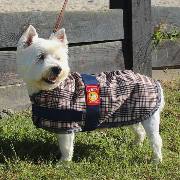 5/A Baker Dog Blanket