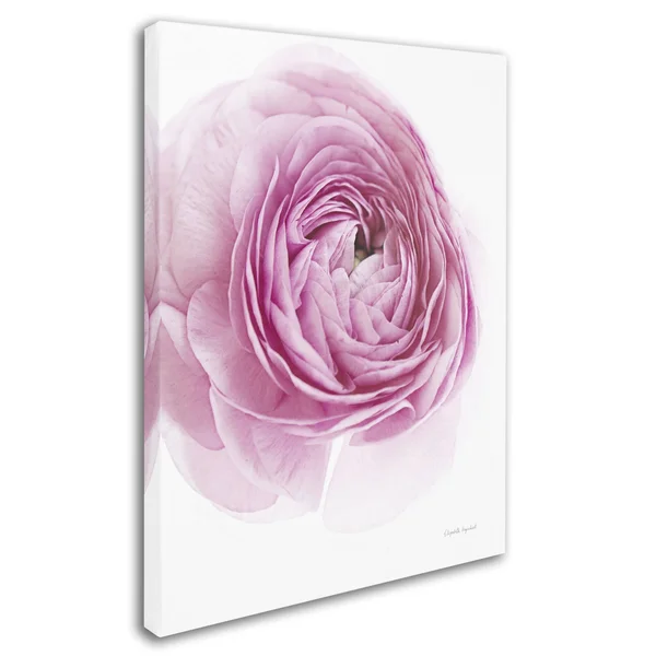 Elizabeth Urquhart 'Pink Lady III' Canvas Art WAP01923-C