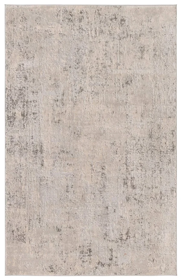 Caspian 5x8 Gray Abstract Area Rug