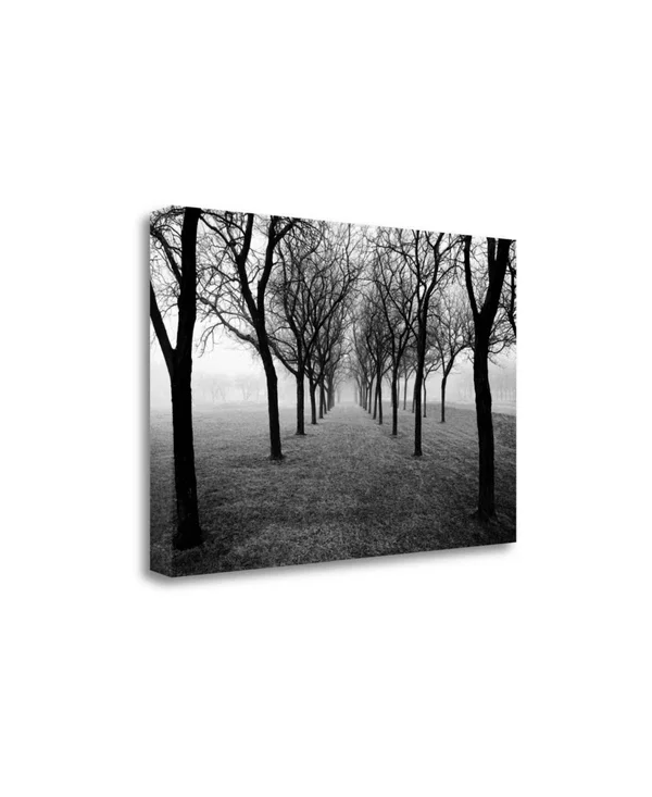 23x22 x 34x22 Tunnel of Trees by Monte Nagler Fine Art Giclee Print