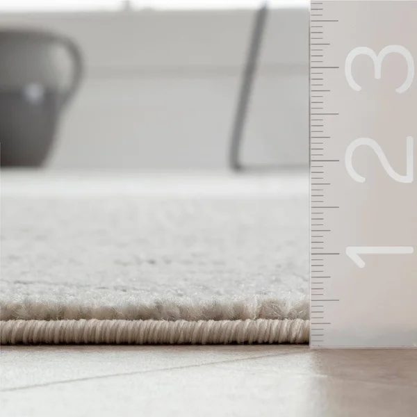 nuLOOM Solange Transitional Tribal Beige 8 ft. x 10 ft. Area Rug