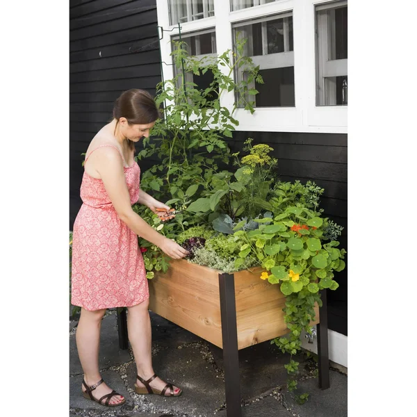 2 x 4 Elevated Cedar Planter Box - Elevated Planters - Gardener&s Supply Company