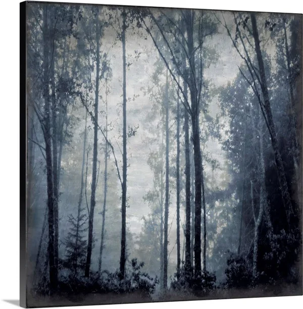 Forest Indigo, Canvas Wall Art, 20x20, Great Big Canvas