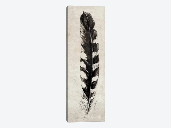 Symposium Design Canvas Wall Art Print - Feather ( Decorative Elements > Feathers art)