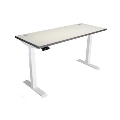 Electric Height Adjustable Standing Desk Inbox Zero Color (Top/Frame): Gray/White