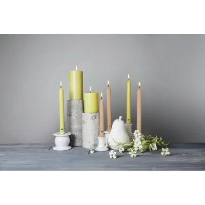 12 Piece Classic Unscented Taper Candle Symple Stuff Size: 10x22 H x 1x22 W x 1x22 D, Color: Pumpkin