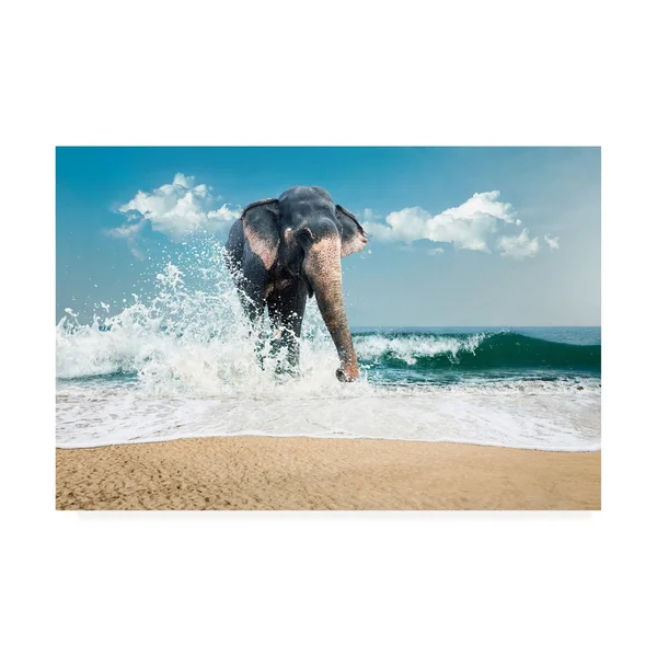 Trademark Art PhotoINC Studio 'Elephant on The Beach' Canvas Art