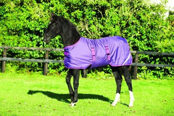 Amigo Foal Turnout Blanket
