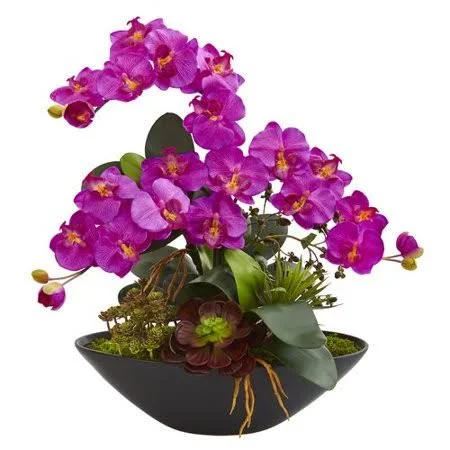 Bloomsbury Market Artificial Phalaenopsis Succulent Garden Orchid and Mixed Floral Arrangement in Vase - Purple