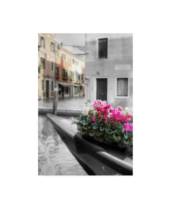 Trademark Art Alan Blaustei 'Canal Fiori #1' Canvas Art