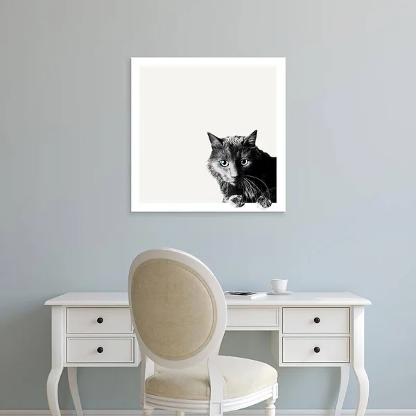 Easy Art Prints Jon Bertelli's 'Inquisitive' Premium Canvas Art - 24 x 24 - Classic Black Frame