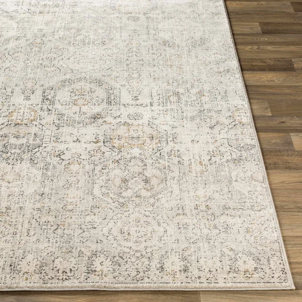 Parkerfield 8&10x22 x 12& Traditional Area Rug - Hauteloom