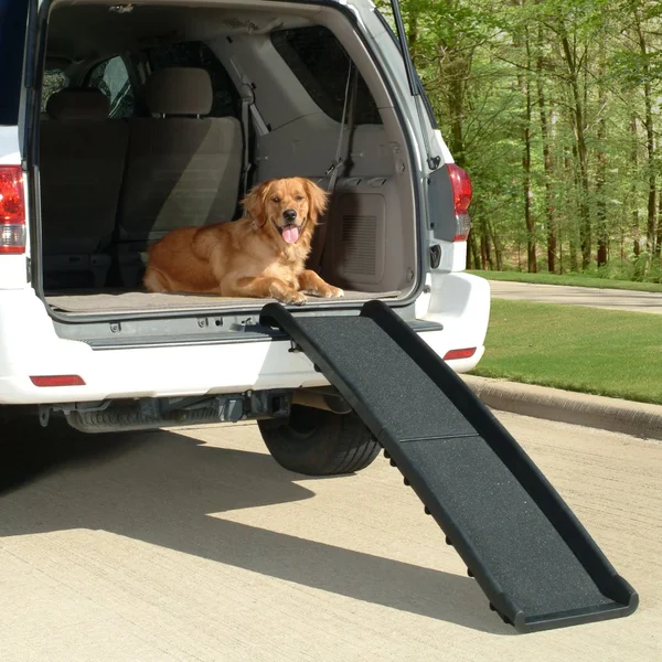 PetSafe 62462 Ultralite Bi-Fold Pet Ramp Kraft Box