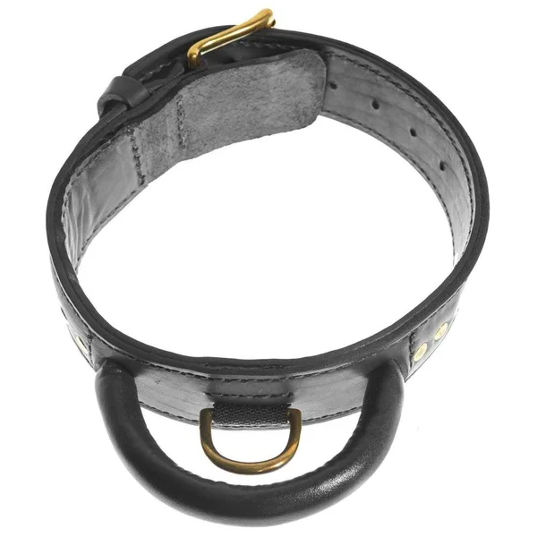 Dogline-Viper V3101-6 Two-Ply Leather Collar with Handle Brown - 2 W x