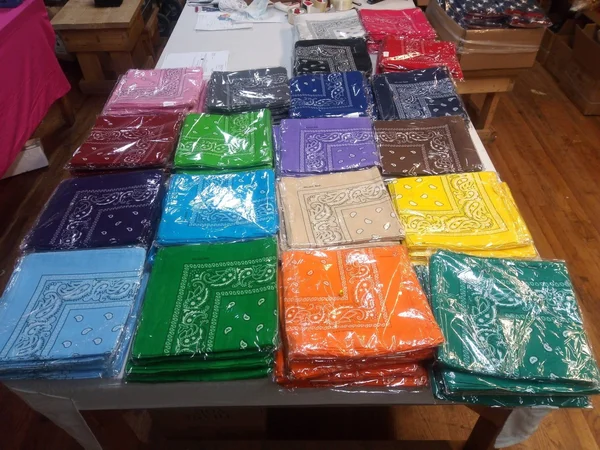 Flags by The Dozen Assorted Bandana Paisley Head Wrap in Various Colors 100% Cotton 22x22x22x22 144 Plum Violet