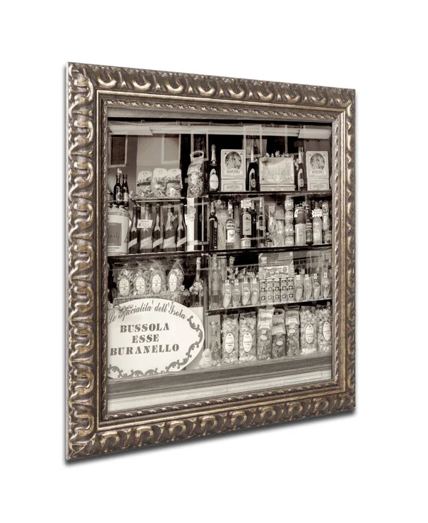 Trademark Art Alan Blaustein 'Brussola Esse Buranello' Ornate Framed Art