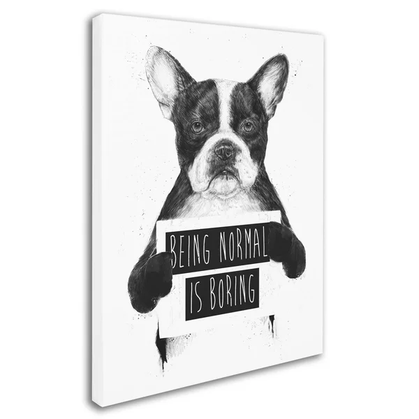 Trademark Fine Art Balazs Solti 'Being Normal Is Boring' Canvas Art, 35 x 47
