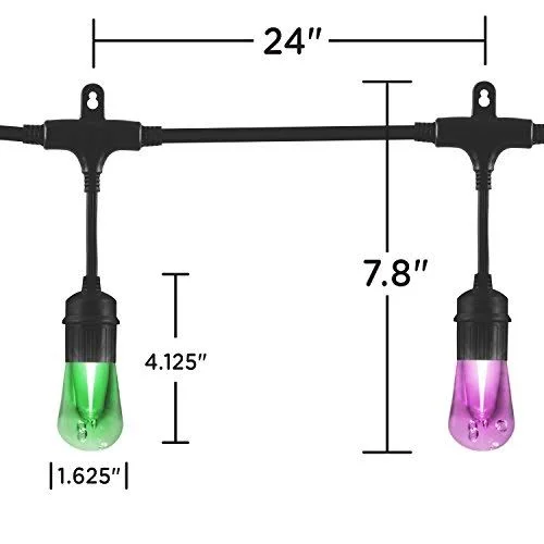 Enbrighten Seasons LED Warm White & Color Changing Café String Lights with Oil-Rubbed Bronze Lens Shade - Black, 48ft, 24 Imp