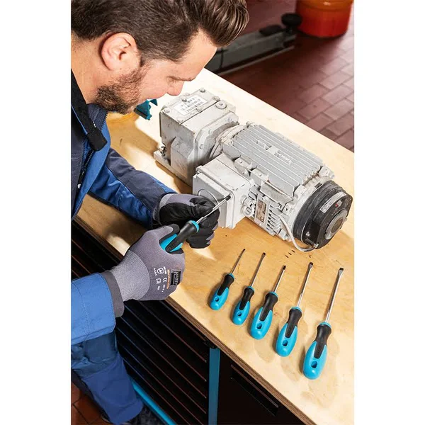 Hazet 163-265/6 Screwdriver Set