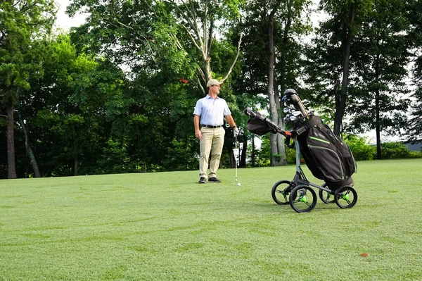 Bag Boy Chiller Cart Bag - Charcoal/Black/White