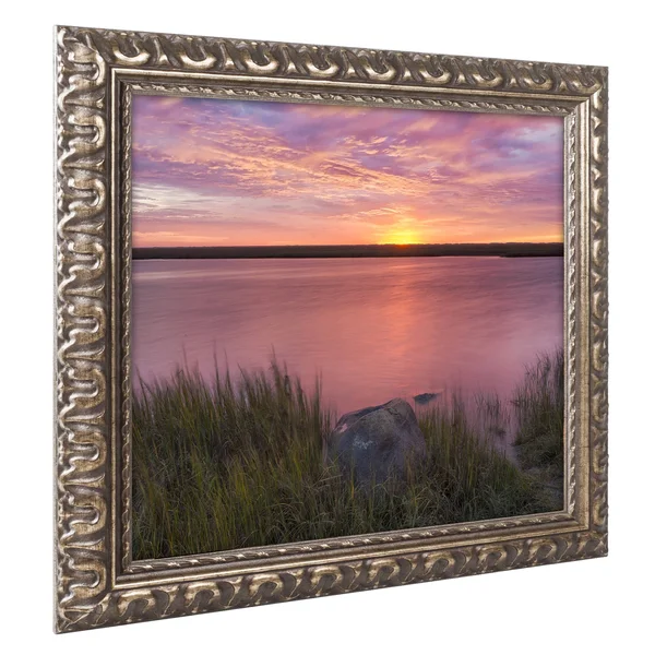 Trademark Art Windy Marsh' Gold Ornate Framed Art