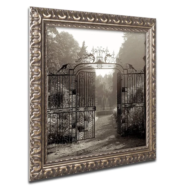 Trademark Art Alan Blaustein 'Hampton Gates III' Ornate Framed Art