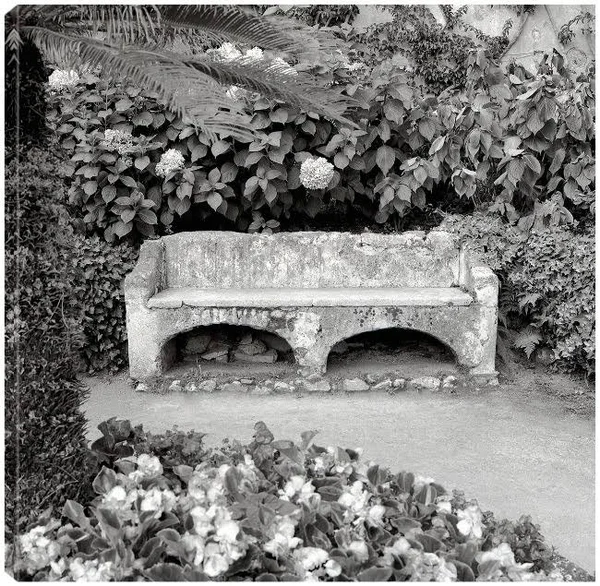 Campagnia I Canvas Prints by Alan Blaustein 22X22 Fineartcanvas