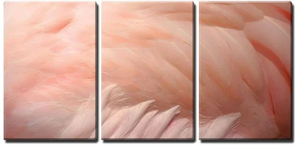 Wall26 - 3 Piece Canvas Wall Art - Pink Flamingo Feathers Delicate Soft for Background. - Modern Home Decor Stretched and Framed