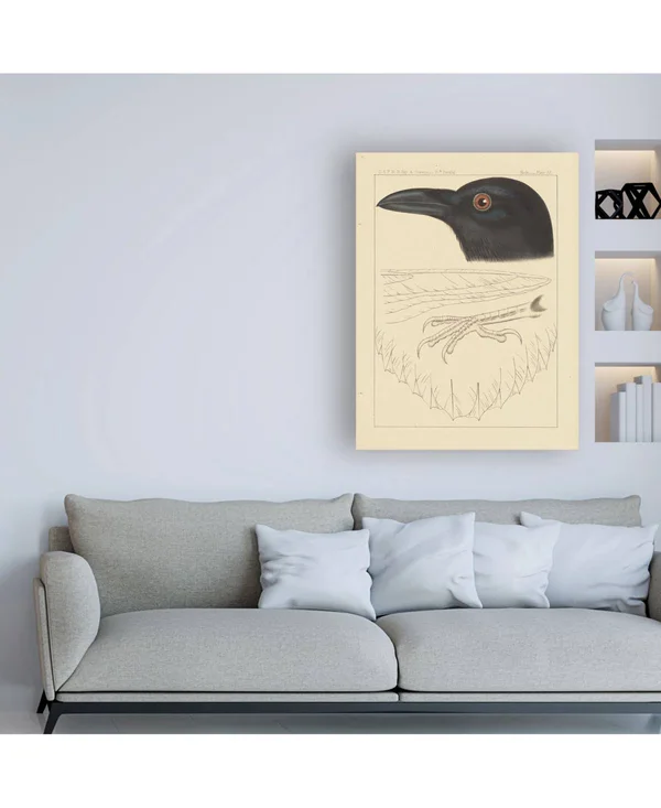 Trademark Art Wild Apple Portfolio 'Bird Prints II' Canvas Art