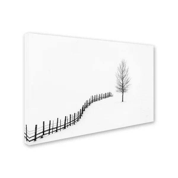 Trademark Fine Art 's I L E N C E' Canvas Art by Sveduneac Dorin Lucian - Size: 12 x 19