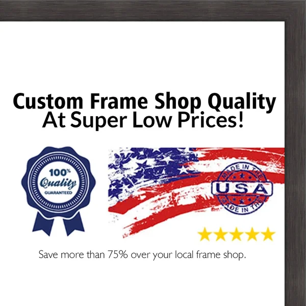 CustomPictureFrames 14x17 - 14 x 17 Charcoal Flat Solid Wood Frame with UV Framer&s Acrylic & Foam Board Backing - Great for