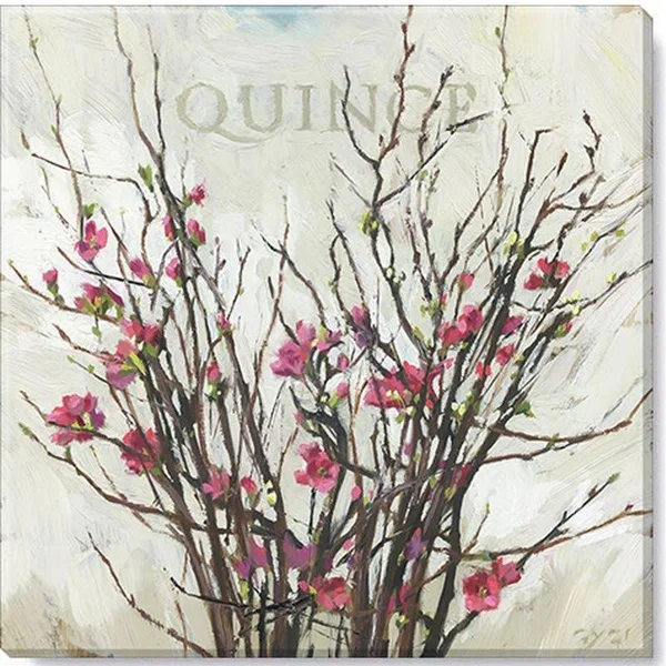 Sullivans Darren Gygi Quince Canvas - Museum Quality Giclee Print, Gallery Wrapped, Handcrafted in USA 20x22W Pink