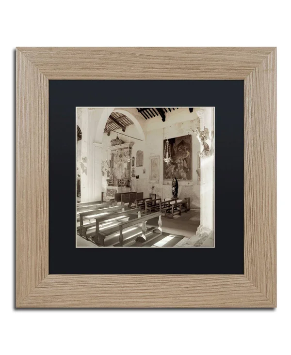 Trademark Art Alan Blaustein 'Banogregio I' Contemporary Matted Art