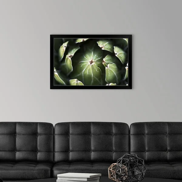 Photo Nature - Queen Victoria Agave - Black Framed Wall Art, 30x20, Great Big Canvas