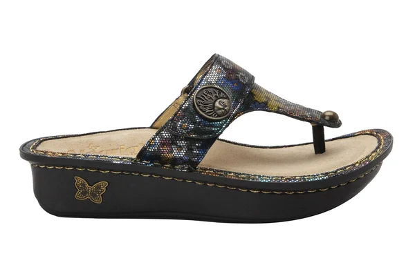 Alegria Women's Carina Shoes - Carina Carefree in Size 36
