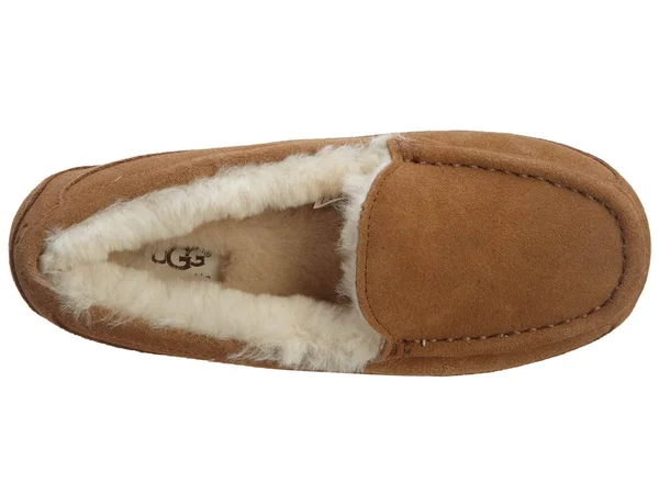 Ugg Ascot Kids Chestnut Size 4