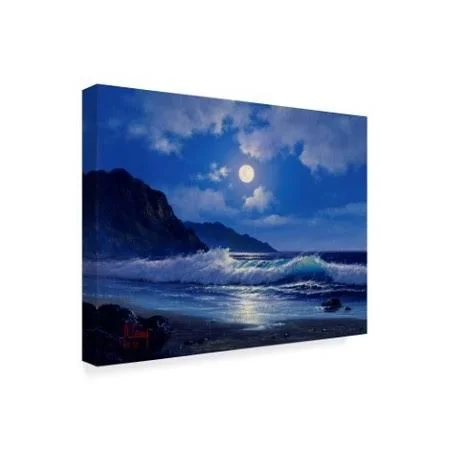 Trademark Fine Art Ali20280-C3547Gg Anthony Casay &Coast Line 6& Canva